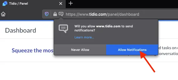 איך לאשר התראות בדפדפן שלך (Allow Notifications in Your Browser) ב-Tidio 9 allow notifs 2024-04-09 at 18.26.03.png