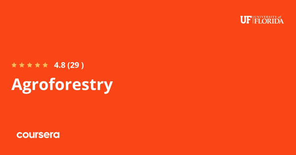 קורס אונליין – תעודה מקצועית מוסמכת בAgroforestry של University of Florida