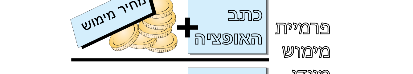 כתבי אופציה 3 איור