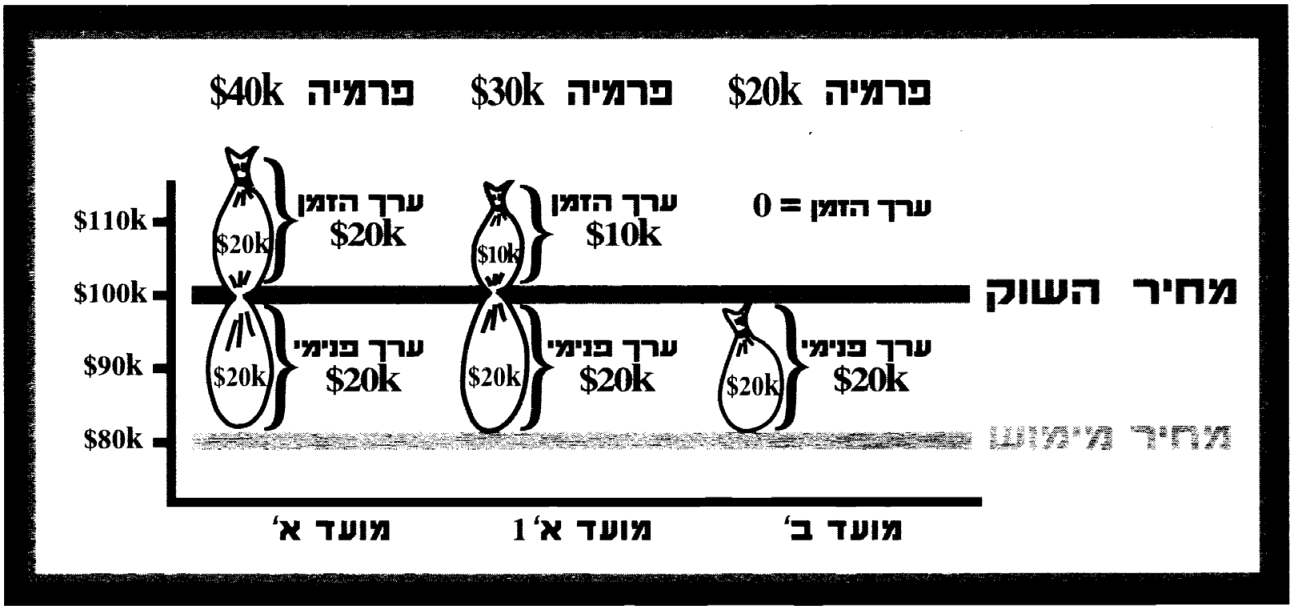 השלמות ומונחים: ערך פנימי וערך הזמן 7 גרף רווח/הפסד